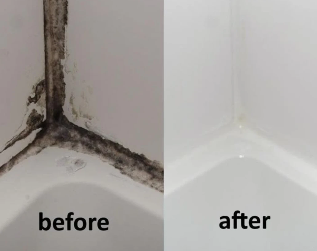 ProTech Property Maintenance work in Gippsland