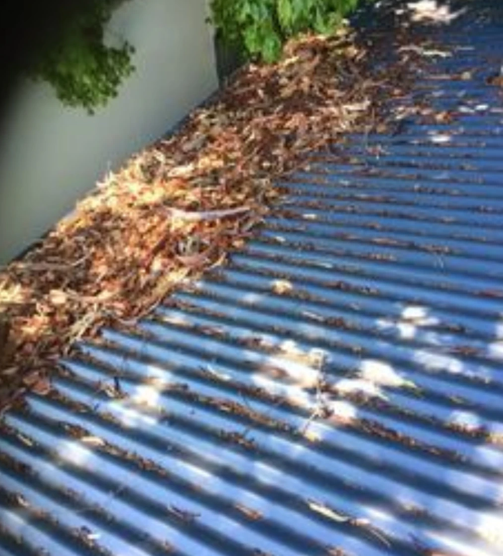 ProTech Property Maintenance work in Gippsland