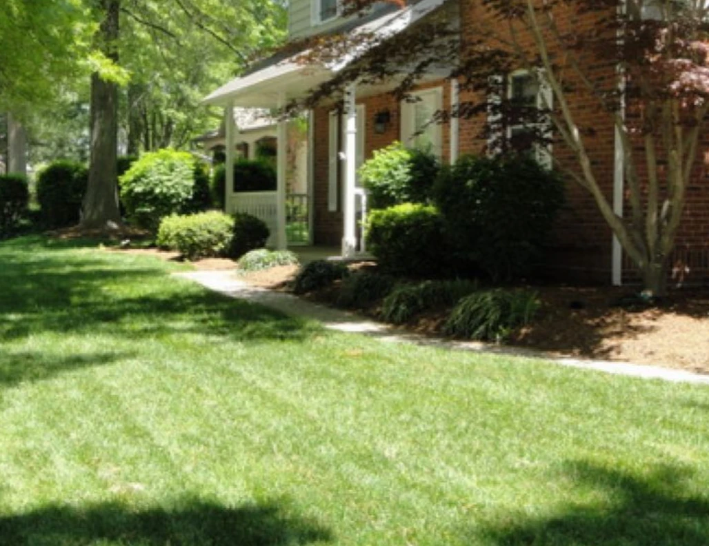 Garden & Outdoor Care